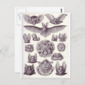 Carte postale (Devant / Derrière)