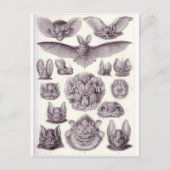 Carte postale (Devant)