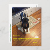 Carte postale (Devant / Derrière)