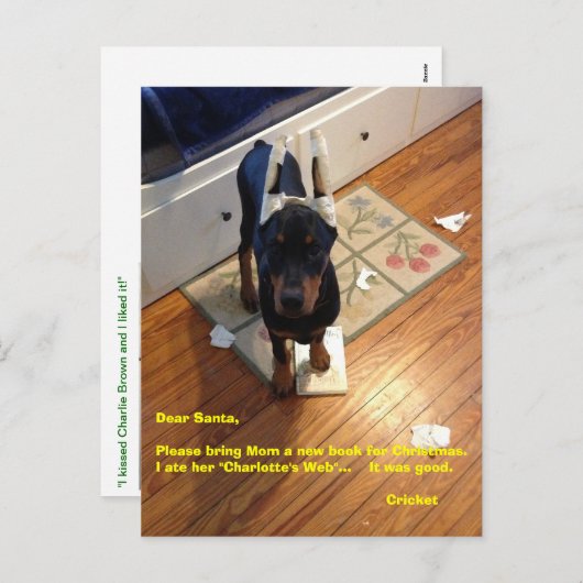 Carte postale (Devant / Derrière)