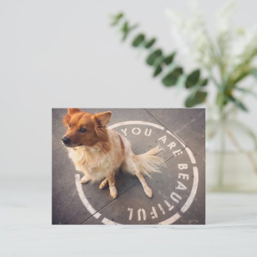 Carte postale (Debout devant)