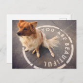 Carte postale (Devant / Derrière)