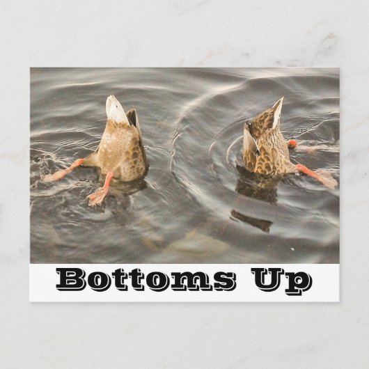 Carte postale (Devant)