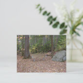 Carte postale (Debout devant)