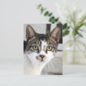Carte postale (Debout devant)