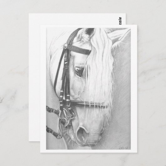 Carte postale (Devant / Derrière)