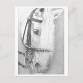 Carte postale (Devant)