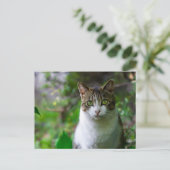 carte postale (Debout devant)