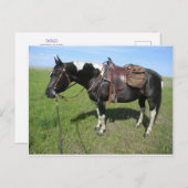 carte postale (Devant / Derrière)