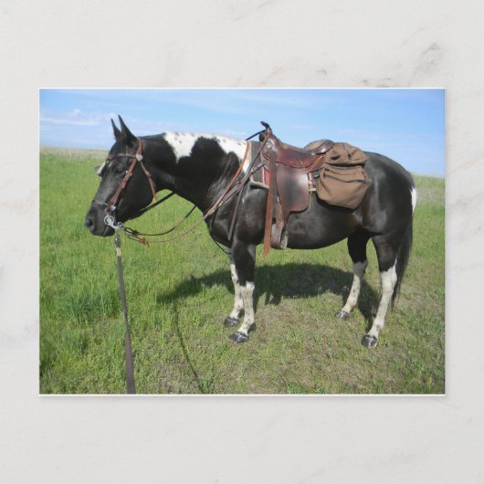 carte postale (Devant)