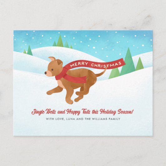 Carte postale (Devant)