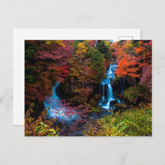 Carte postale (Devant / Derrière)