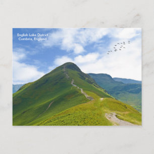Carte postale