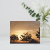 Carte postale (Debout devant)