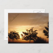 Carte postale (Devant / Derrière)