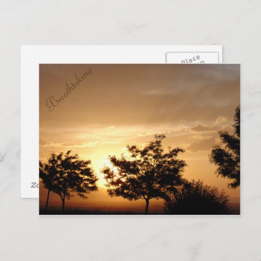 Carte postale (Devant / Derrière)