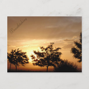 Carte postale