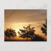 Carte postale (Devant)