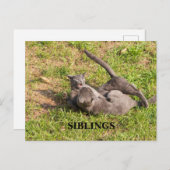 Carte postale (Devant / Derrière)