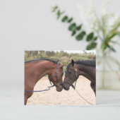 carte postale (Debout devant)