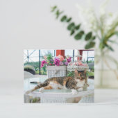 carte postale (Debout devant)