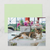 carte postale (Devant / Derrière)