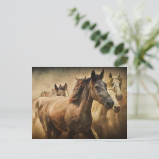 carte postale (Debout devant)