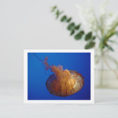 Carte postale (Debout devant)