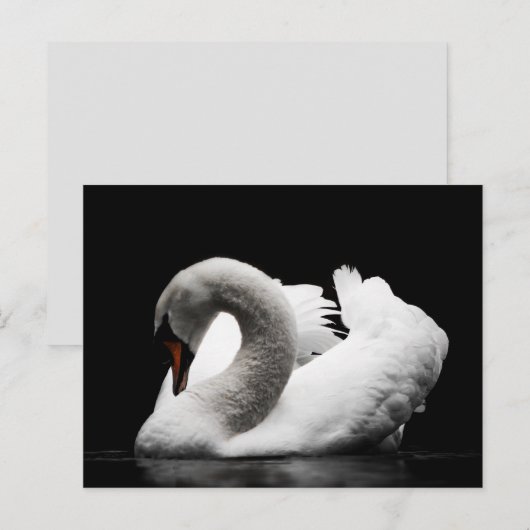 carte postale (Devant / Derrière)