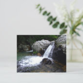 Carte postale (Debout devant)