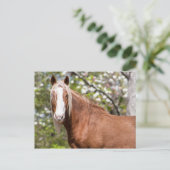 Carte postale (Debout devant)