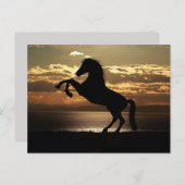 carte postale (Devant / Derrière)