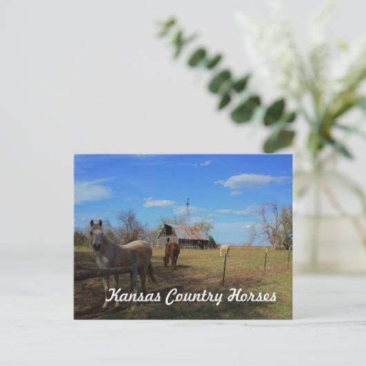 Carte postale (Debout devant)