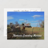 Carte postale (Devant / Derrière)