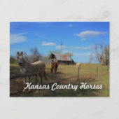 Carte postale (Devant)