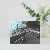 carte postale (Debout devant)