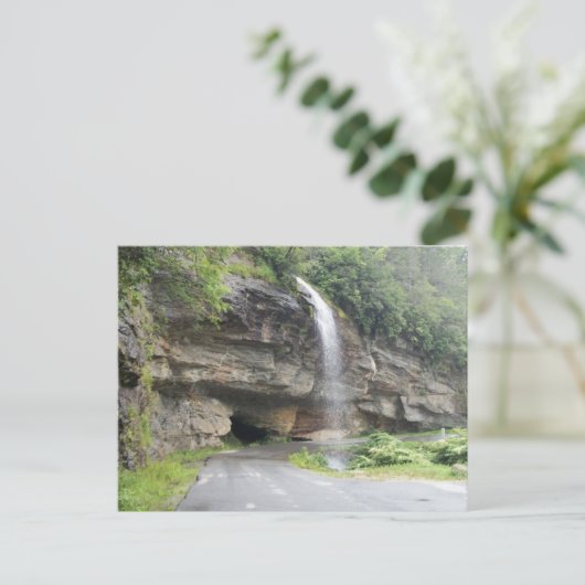 Carte postale (Debout devant)