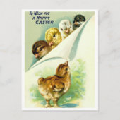 Carte postale (Devant)