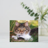 carte postale (Debout devant)