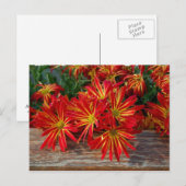 Carte postale (Devant / Derrière)