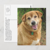 CARTE POSTALE  (Devant / Derrière)