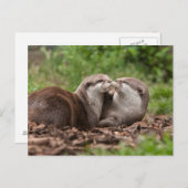 Carte postale (Devant / Derrière)