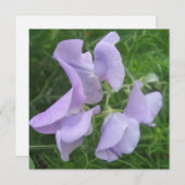 Carte postale (Devant / Derrière)