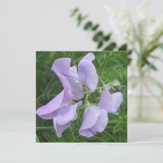 Carte postale (Debout devant)