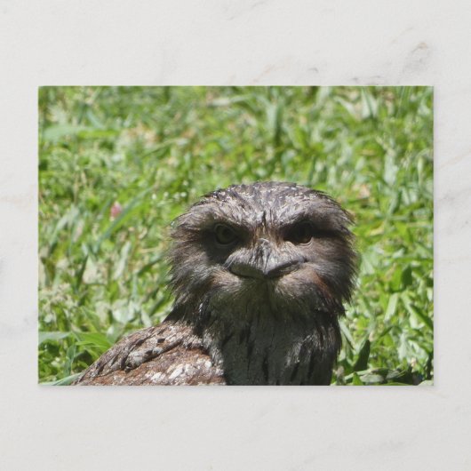 Carte postale (Devant)