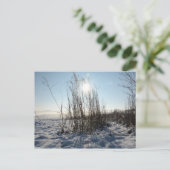 Carte postale (Debout devant)