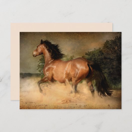 carte postale (Devant / Derrière)