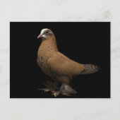 Carte postale (Devant)