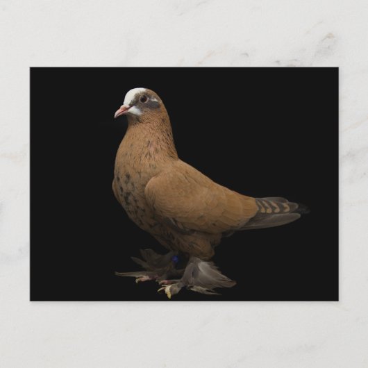 Carte postale (Devant)