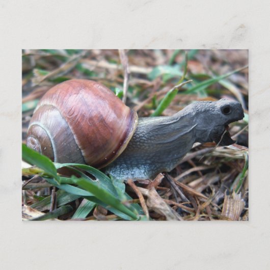 Carte postale (Devant)